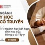 Bác Sĩ Y Học Cổ Truyền Là Làm Gì