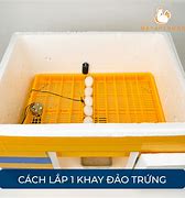 Cách Chỉnh Máy Ấp Trứng Ánh Dương P100 Mới