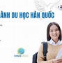 Sang Hàn Quốc Làm Nghề Gì Cho Nữ