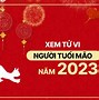 Xem Tử Vi Theo Giờ Sinh Ngày Tháng Năm Sinh Năm 2023 Là